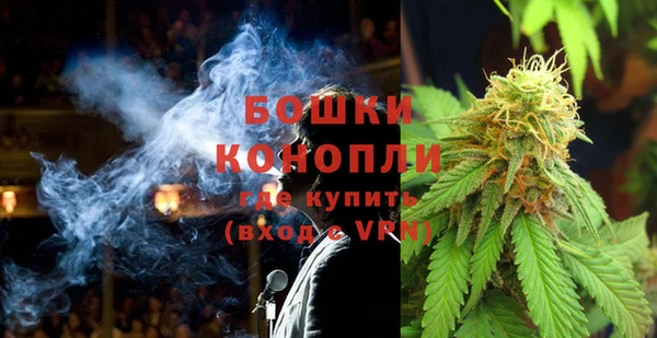 индика Заволжск