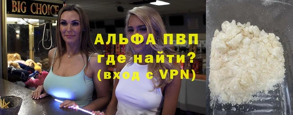 индика Заволжск