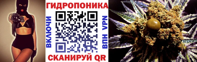 Шишки марихуана сатива  Купить закладки  Чита